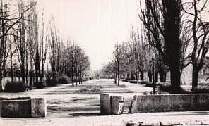 Na długości 300 m wytyczono wtedy dwie równoległe aleje, teren obsadzono szybko rosnącymi włoskimi topolami. Około 1960 r. Bulwary powiększono Fotografia z 1957 r.