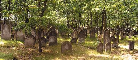 64. CMENTARZ ŻYDOWSKI Na południowo-zachodnim skraju miasta, pomiędzy ulicami Karolewską, Śniadeckiego, Fotografia z 2007 r. Wileńską i Cmentarną znajduje się nieczynny już cmentarz żydowski.