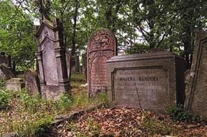 Prowadzą do niego dwie furtki metalowe od wschodu i zachodu. Zachowało się około 650 nagrobków, głównie w formie tradycyjnych macew. Najstarszy z nich to miejsce pochówku Liny Bitschunsky z d.