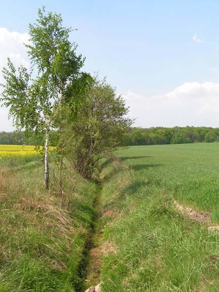 Zdjęcie 19 i 20: Śródpolne rowy melioracyjne. Układ sieci drenarskiej (tab. 25; rys. 22) stanowi 16,0 % powierzchni ogólnej obrębów.