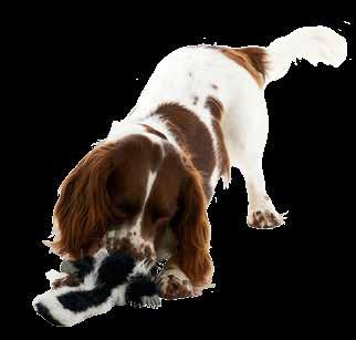 Real Skinz Skunks 274148 274143 274144 Hyper