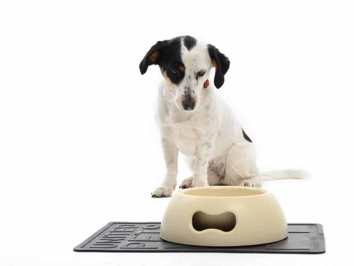 United Pets Pappy Miska dla psa Linia misek dla psów, włoskiej firmy United Pets.