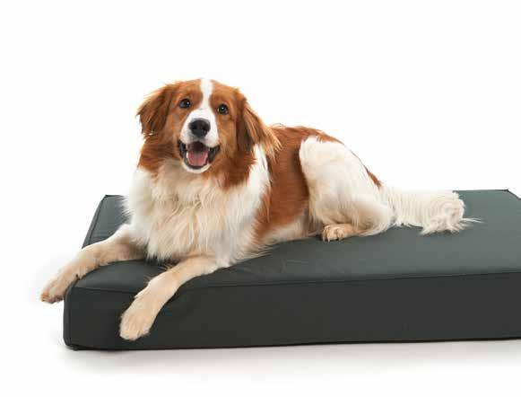 70 LEGOWISKA Legowisko owalne Sofa Legowisko puchowe BUSTER Premium Legowiska dla psów w kolorze ciemnozielonym Nowa kolekcja legowisk dla psów BUSTER Premium 2014/2015.