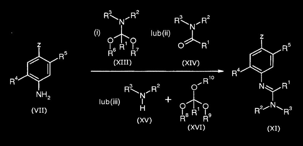 -50- (h) poddawanie reakcji aminofenoli o wzorze (VII) z (i) aminoacetalami o wzorze (XIII) lub (ii) z amidami o wzorze (XIV) lub (iii) z aminami o wzorze (XV) w obecności ortoestrów o wzorze (XVI)