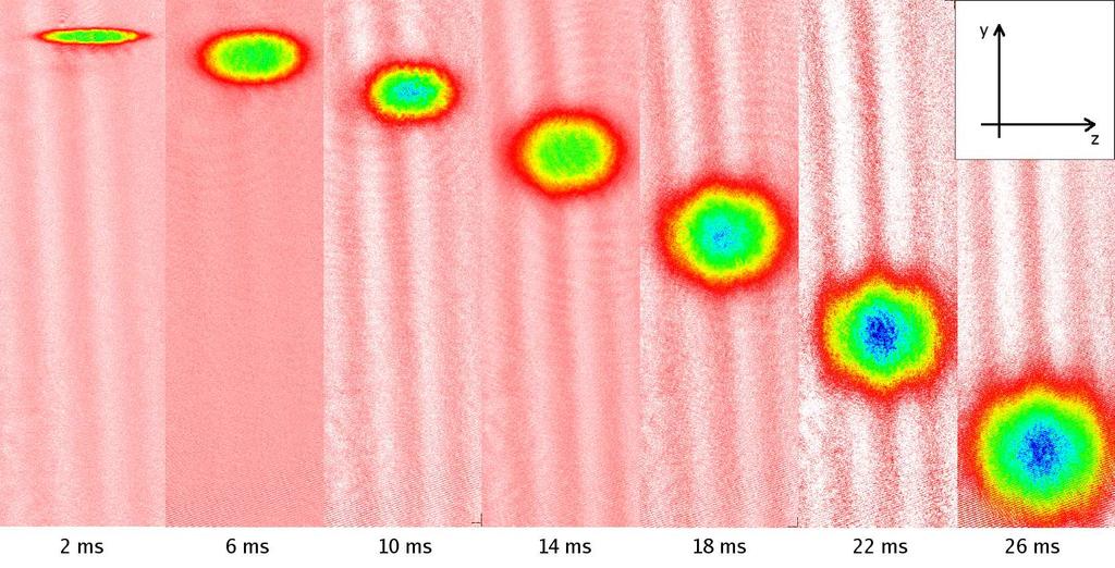 11.1. EKSPANSJA CZYSTEGO KONDENSATU BE 117 Rys. 11.1: Zdjęcia niezdegenerowanej chmury atomów 87 Rb wykonane w różnych czasach swobodnego spadku po wypuszczeniu chmury z pułapki MT.