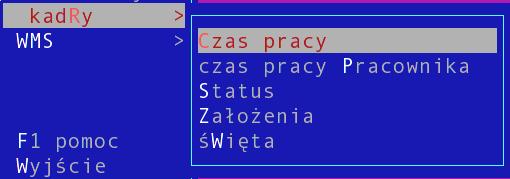 Czas pracy - widok umożliwiający przeglądanie godzin pracy, statusów itp. dla wszystkich lub dla wybranego pracownika, w wybranym zakresie czasu. II.