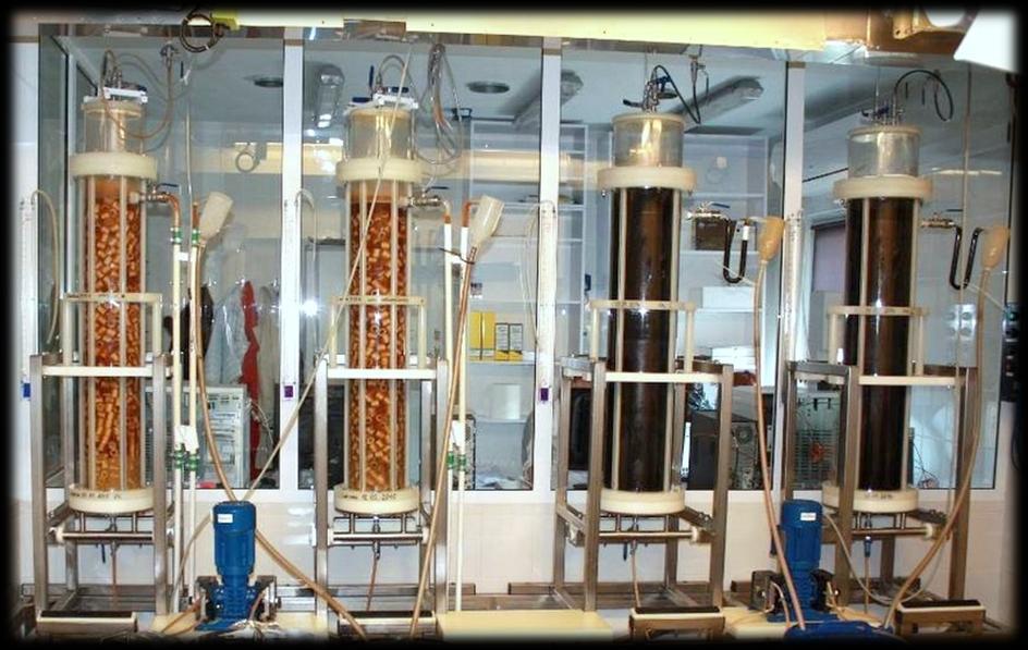 Alternatywna mikrobiologiczna metoda produkcji wodoru i metanu na drodze fermentacji (skala ułamkowa) BIOREAKTORY FERMENTACJI WODOROWEJ I METANOWEJ Cel projektu: Opracowanie innowacyjnej metody
