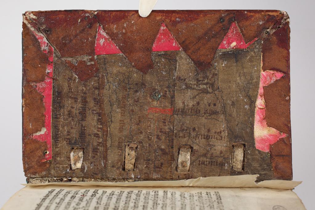 94 Ilona Miller, Lidia Bannach-Szewczyk, Barbara Wojdyła Ilustracja 12.