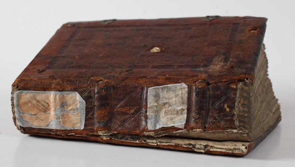 2v, Biblioteka Uniwersytecka w Toruniu [dalej: BUT], rkps 100/I