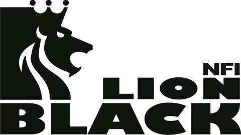 BLACK LION NARODOWY FUNDUSZ INWESTYCYJNY S.A. ROCZNE SPRAWOZDANIE FINANSOWE SPORZĄDZONE WEDŁUG
