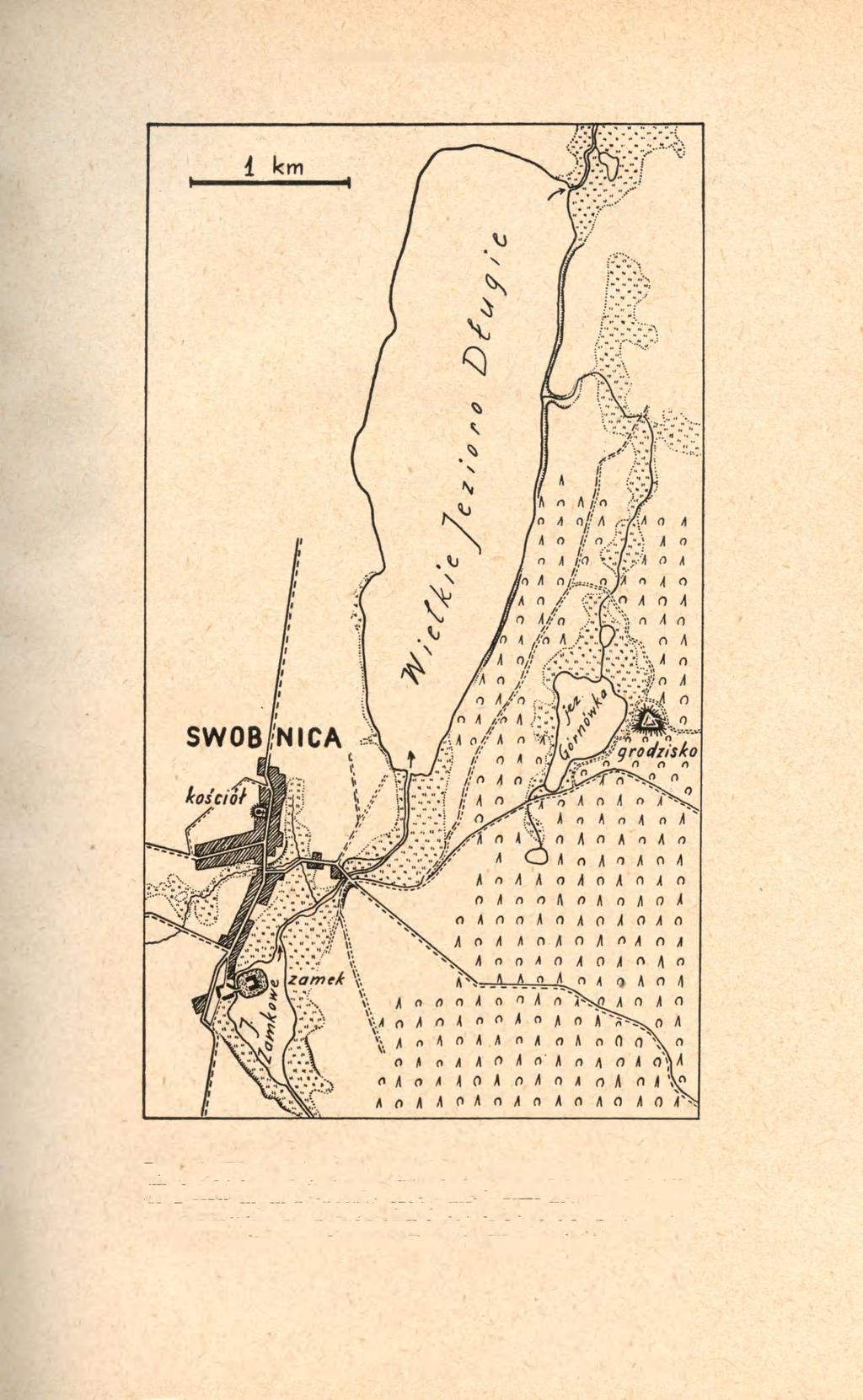 Z BADAŃ W SWOBNICY 43 Ryc. 3.