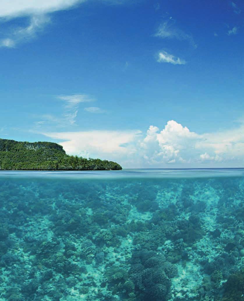 WAKATOBI