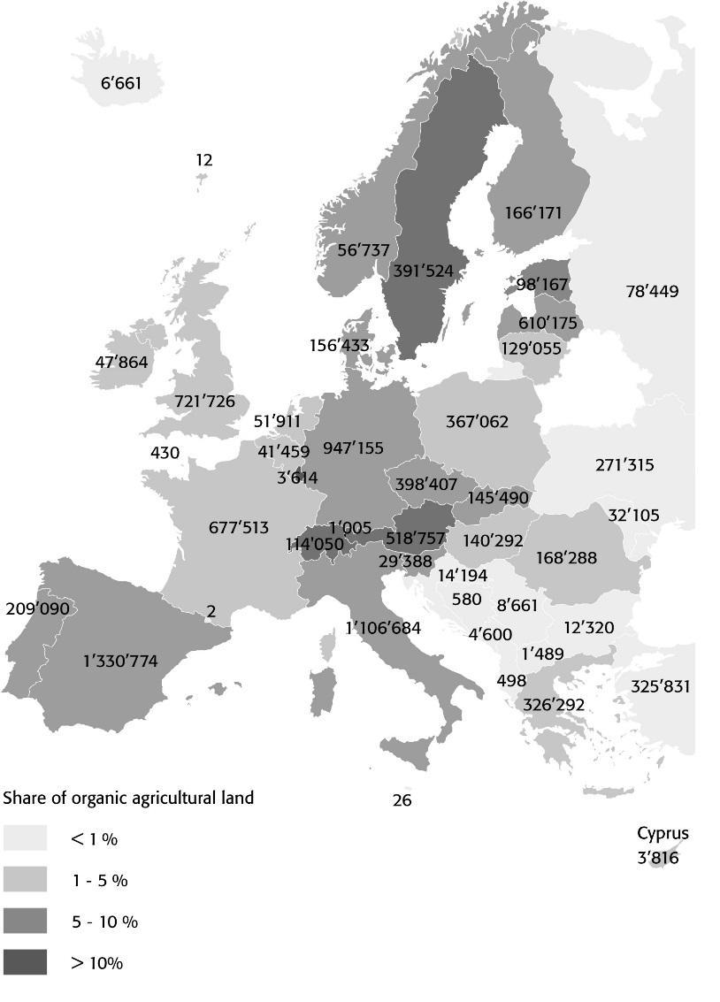 Europa: procentowy udział upraw