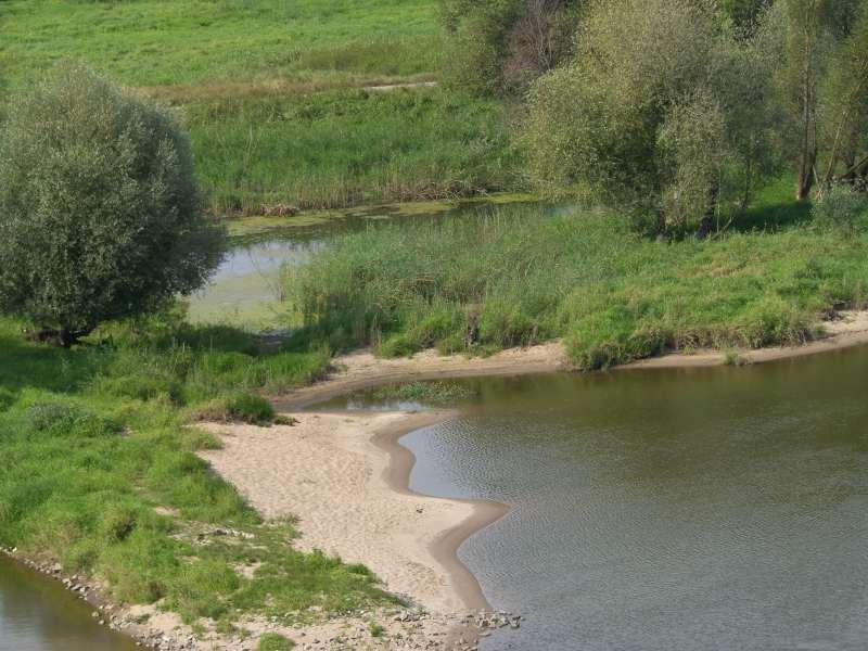 W obrębie tarasu, na kępie tarasowej, leżą Słubice - główny ośrodek regionu.