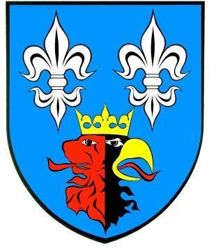 STAROSTWO POWIATOWE W BEŁCHATOWIE PROGRAM