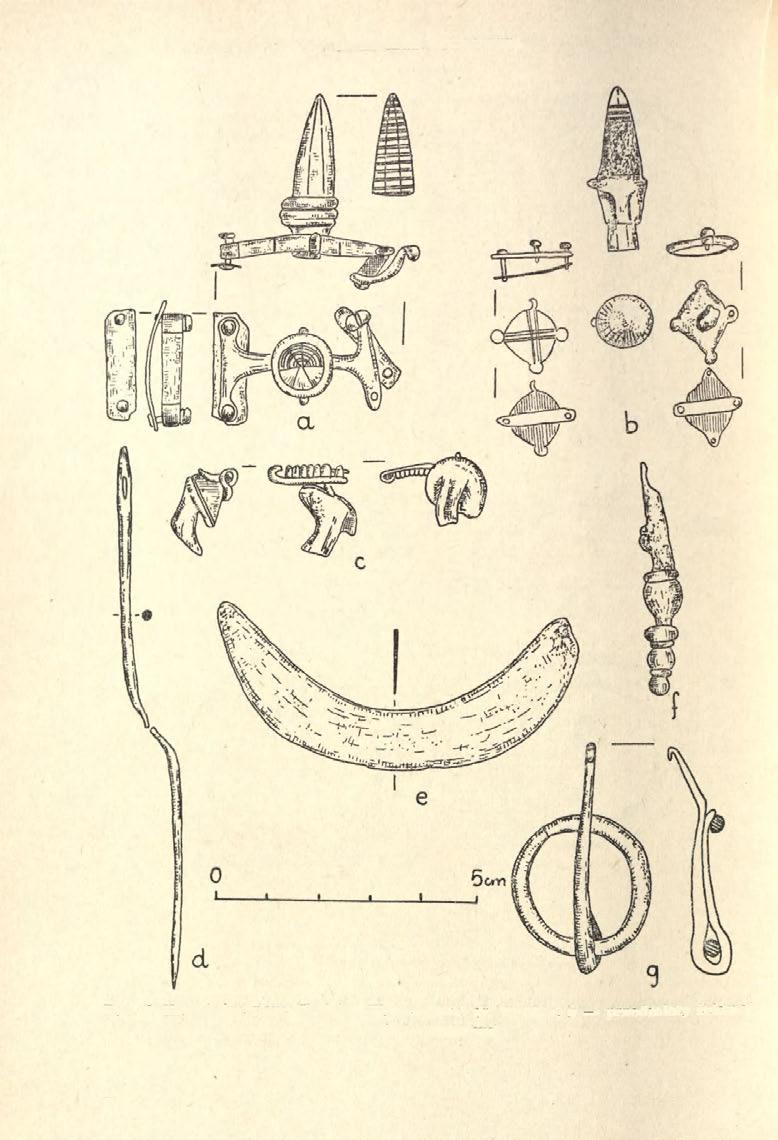 138 KAZIMIERZ GODŁOWSKI Ryc.