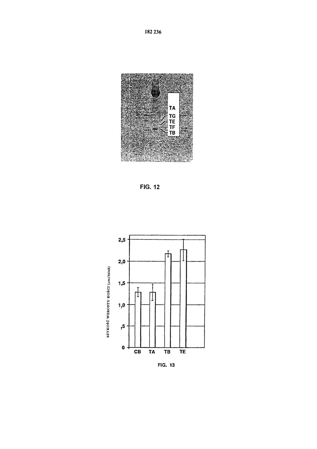182 236 FIG.