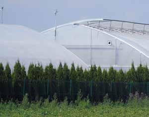 Produkcja pod foliowymi osłonami to dużo tańsza alternatywa dla technologii szklarniowej, a jednocześnie Nowoczesny tunel LIPCA jest rozwiązaniem umożliwiającym zniwelowanie negatywnego wpływu