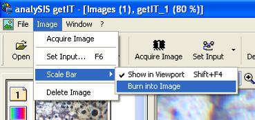 Aby zapisad go razem z obrazem, należy zastosowad opcję Burn into Image z menu Image: Po wykonaniu fotografii należy zapisad zdjęcia na dysku komputera, zaznaczając zdjęcie w galerii