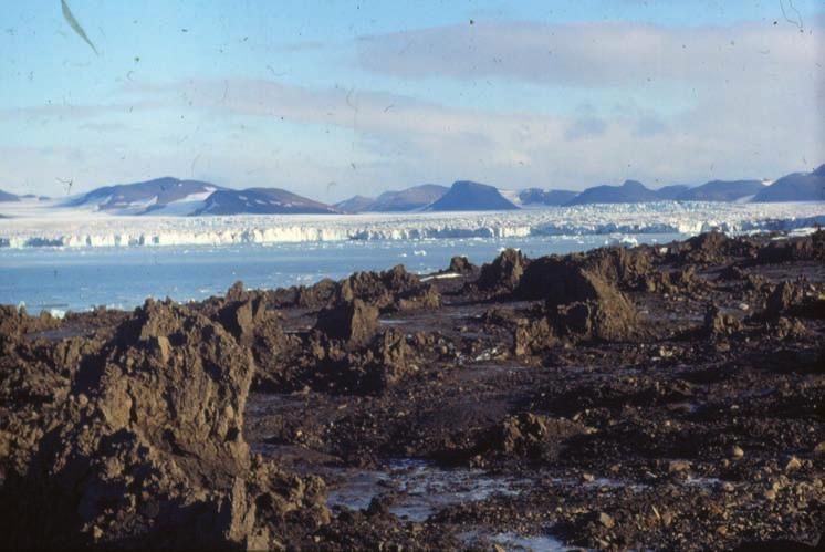38 Fot. 1. Formy szczelinowe na przedpolu lodowca Hornbreen (Zatoka Hornsund, Spitsbergen) powstałe podczas szarży w 1993 roku (Fot. Jan Rodzik) Photo 1.