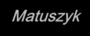 Dziękuję za uwagę Pytania? Osoby do kontaktu: Katarzyna Walczyk-Matuszyk e-mail: katarzyna.walczyk@kpk.gov.