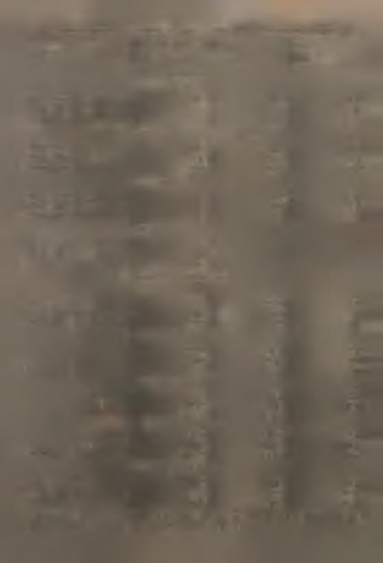 ' :;r-! /. \ ' WYSZCZEGÓLNENE 984 985 w lczbach bezwzględnych 984-00 KÓŁKA ROLNCZE Zboża ogółem3 ^ Powerzchna w ha Plony z ha w dt Zbory w dt.