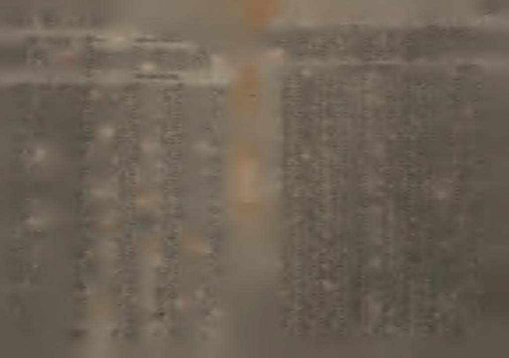 tab. 23 blans zemnaków w y s z c z e g ó l n e n e ;- Í p R 2 Y c H 0 D Y.......7 " A «984,! nan.tw ZBORY x ZAKUPY B - 903 _ \ Í OGOLŁM.