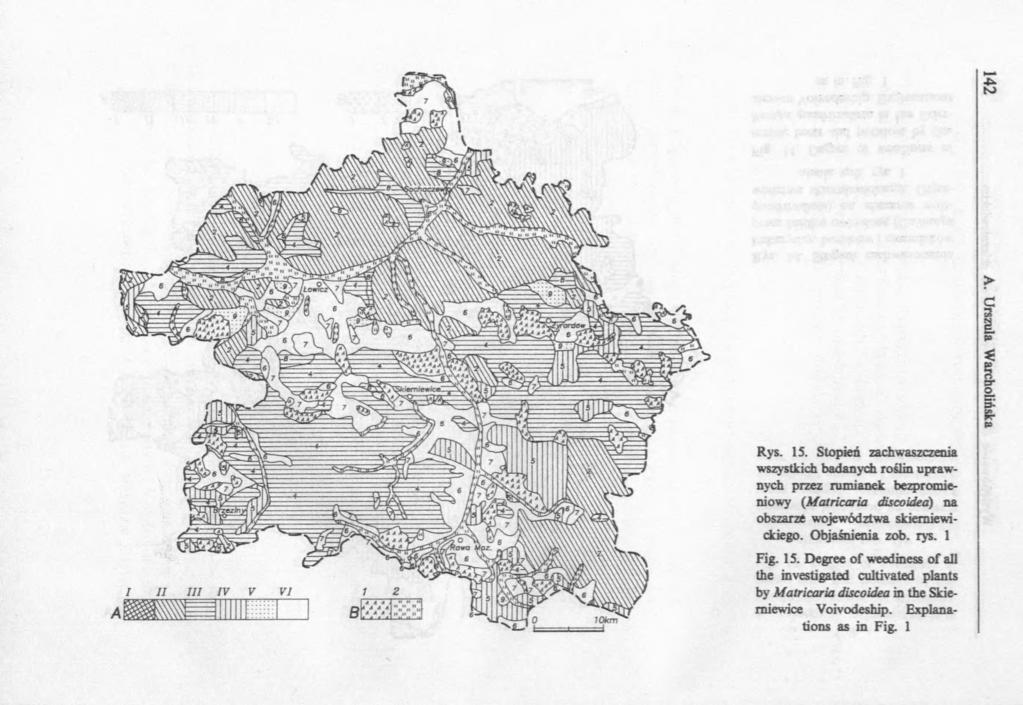 Rys. IS. Stopień zachwaszczenia wszystkich badanych roślin uprawnych przez rumianek bezpromieniowy (Matricaria discoidea) na obszarze województwa skierniewickiego.