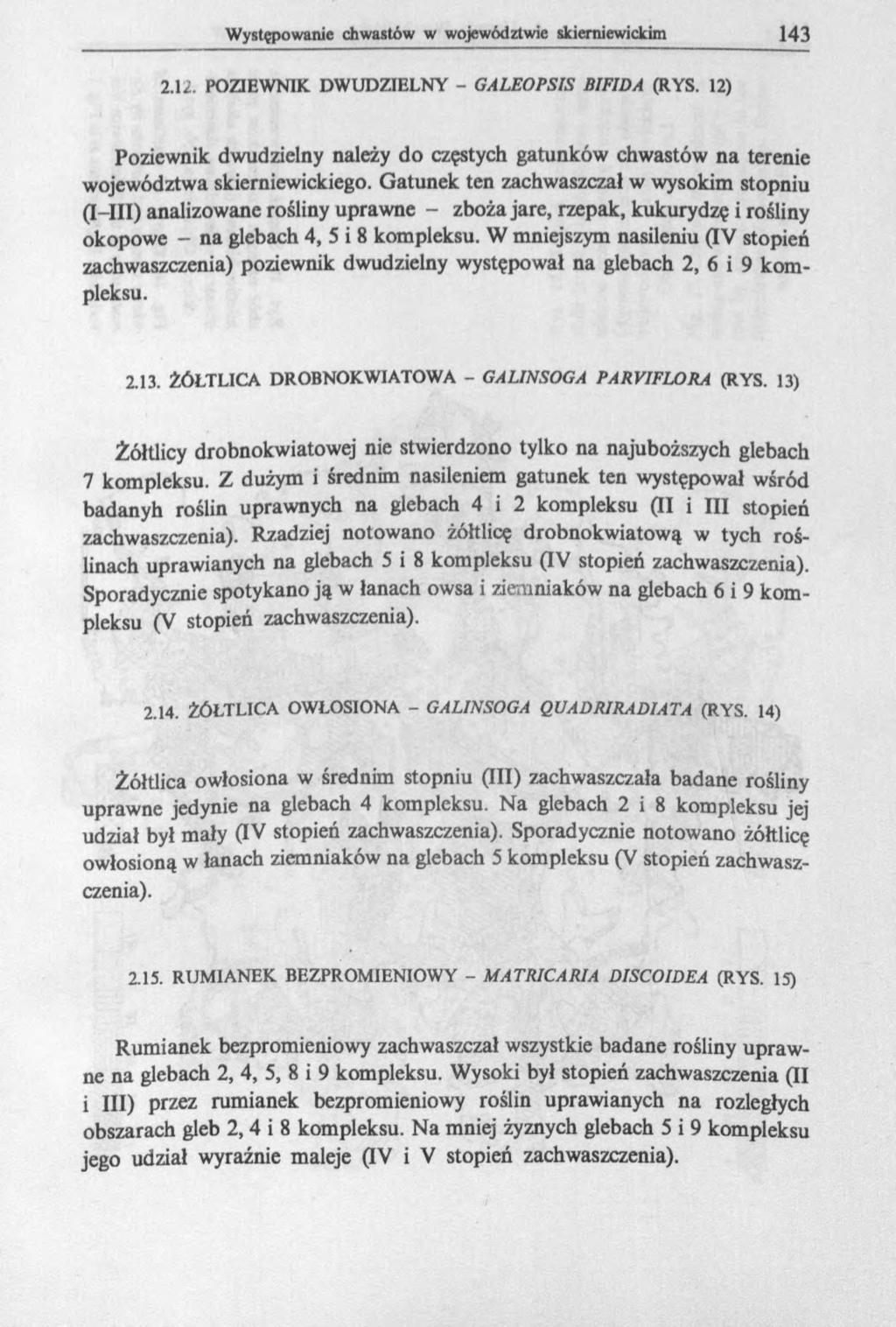2.12. POZIEWNIK DWUDZIELNY - GALEOPSIS BIFIDA (RYS. 12) Poziewnik dwudzielny należy do częstych gatunków chwastów na terenie województwa skierniewickiego.