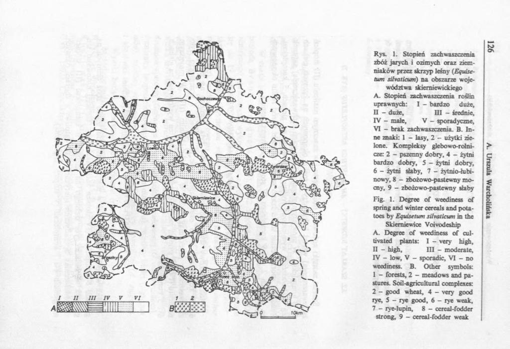 10km Rys. 1. Stopień zachwaszczenia zbóż jarych i ozimych oraz ziemniaków przez skrzyp leśny (Equisetum silvaticum) na obszarze województwa skierniewickiego A.