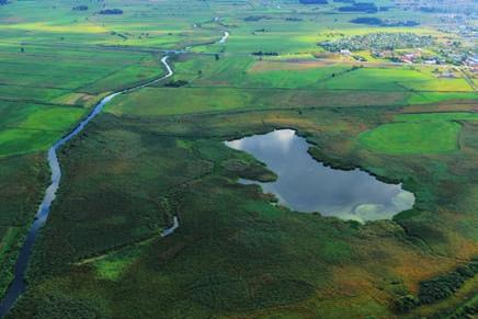 Grajewa), Czapliniec Bełda (12 km od Grajewa), Ławski Las I i II (rezerwaty leśne 15 km od Grajewa).