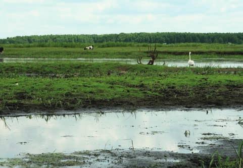 Kolneńskiej, w północnowschodniej części powiatu