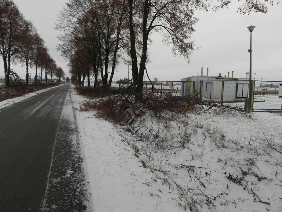 Prace pielęgnacyjne w drzewostanie na terenie gm.
