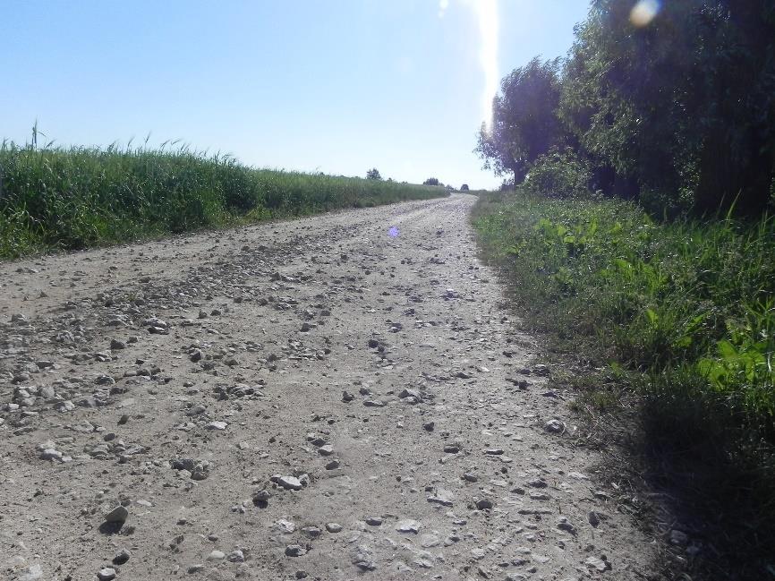Przebudowa drogi gminnej transportu rolnego nr 370221 w miejscowości Łukoszyno-Biki Koszt