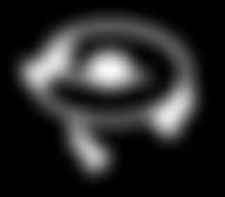 spot