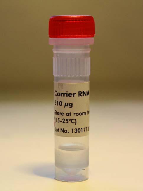 Carrier RNA (QIAamp DNA Micro) (materia³ jeansowy) o wymiarach oko³o 5 x 5 mm, a nastêpnie przechowywano przez okres 4 miesiêcy w wyja³owionych, suchych, otwartych probówkach w temperaturze pokojowej.