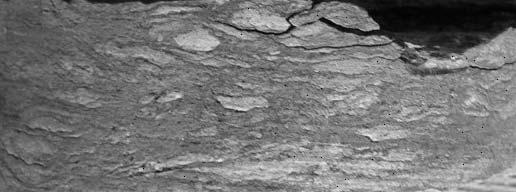 Inst. Geol.