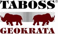 10 TABOSS Sp. z o.o. ul. Stęszewska 9, Krosinko, 62-050 Mosina tel. +48 61 8192121, faks +48 61 8197488 e-mail: info@taboss.com.pl www.taboss.com.pl G E O T E C H N I K A - S T A B I L I Z A C J A G R U N T U dr inż.