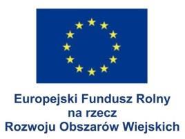 Głównym celem prowadze powyższych działań będzie posiadanie aktualnych danych co do postępów w strategii, szczególnie pod kątem ich efektywności i racjonalności.