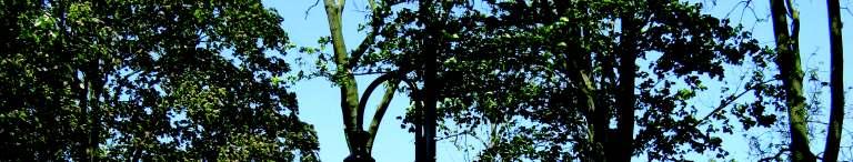obudowie zewn trznej podgrzewanej z osprz tem oraz anten