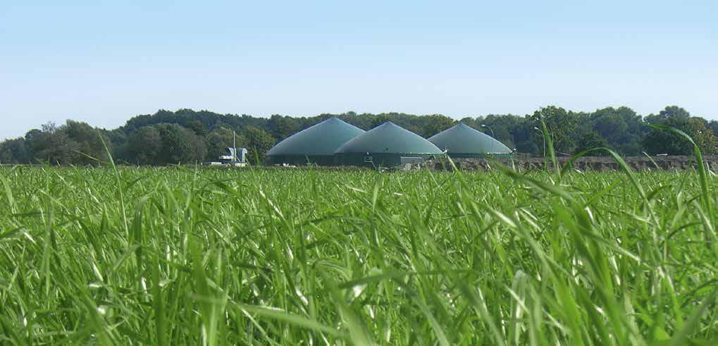 Trawy w biogazowniach Energy So(i)lution rozwiązania systemowe w uprawie roślin energetycznych Długotrwała i wydajna produkcja energii jest wyzwaniem dla gospodarstw wytwarzających biogaz.