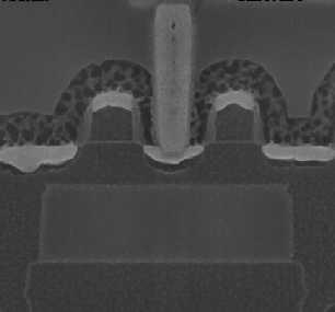 512KB L3: 8 MB per Region Total: