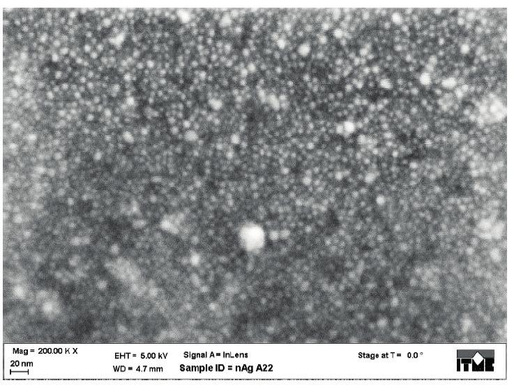 Struktura ziarnista krystalitów srebra. Ubytek fazy organicznej 64%. Fig. 8. Irregular structure of silver crystallites. Organic phase loss 64%.