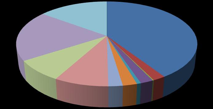 wydatków w 2013 roku 0,19% 1,28% 18,40%