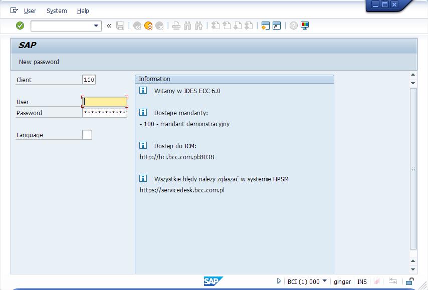 Jeśli łączysz się poprzez grupę serwerów aplikacyjnych wstaw dane połączenia z aplikacji SAP Logon w to