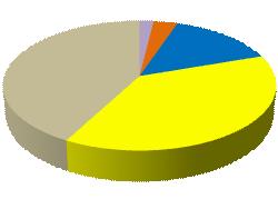 Kwas siarkowy 3% Kwas fosforowy 15% Ad Blue 48% Ad Blue 38% Pigmenty Biel tytanowa 04Q 2010 04Q 2009 Zmiana Wolumen (tys.