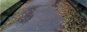 Kwadrat ), teren nadrzeczny wzdłuż