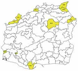 M. Su³kowska et. al. / Leœne Prace Badawcze, 2008, Vol. 69 (2): 133 142. 137 3. Wyniki Ocena warunków glebowych na 9 powierzchniach doœwiadczalnych buka (tab.