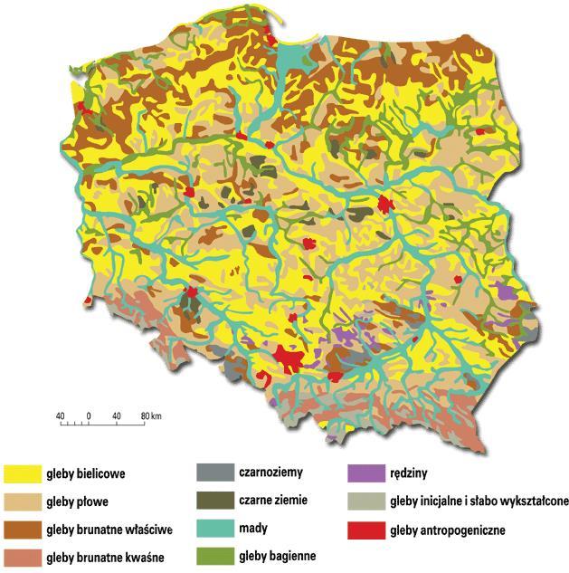 składniki korzystne, jak i niekorzystne dla swego rozwoju.