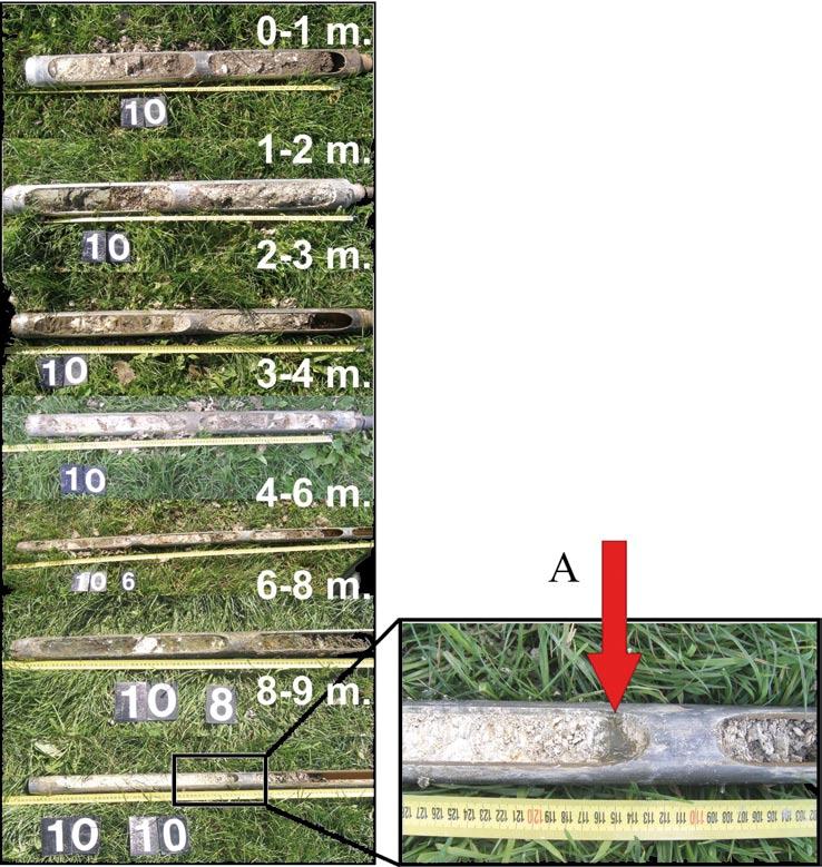 Fig. 7. Examples of cores with their inner structure intact (drilling 10; see Fig. 6; by R.